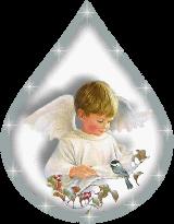 angel12