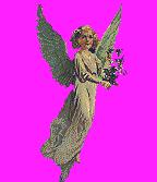 angel6