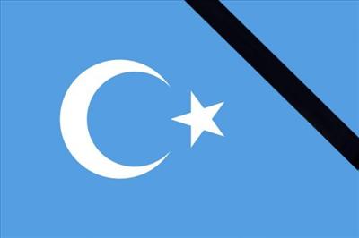 Doğu Türkistan