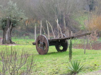 Kağnı