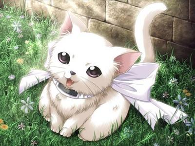 Kitty