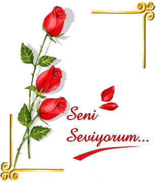 GÜL 10