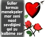 GÜL 3