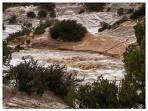Flash Flood