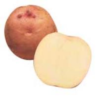 a lock o' spuds