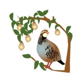 A Partridge in a Pear Tree