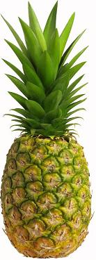 Pineapple / パイナップル