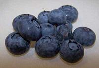 Blueberry / ブルーベリー