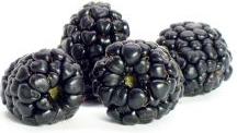Blackberry / ブラックベリー