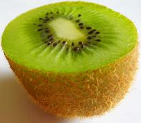 Kiwi / キウイ