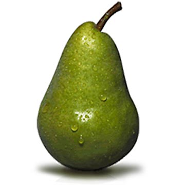 Pear / 洋梨