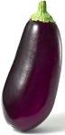 Aubergine / ナス (Eggplant)