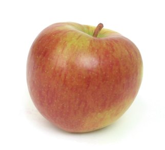 Red Apple / 赤いアップル