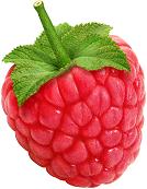 Raspberry / キイチゴ