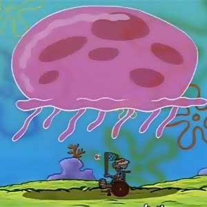 Jellyfish
