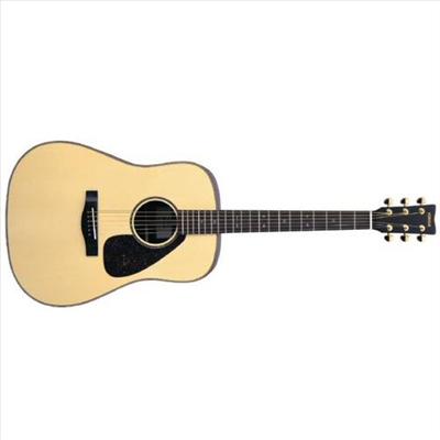 Accoustic guitar