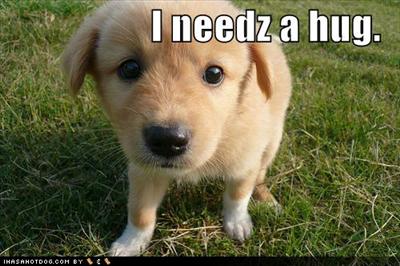 puppie love