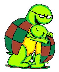 turtle hug
