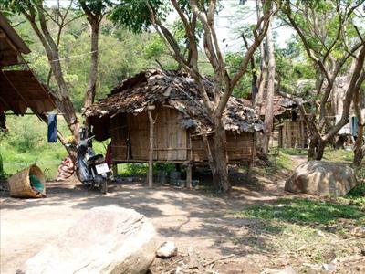 Thai Village 