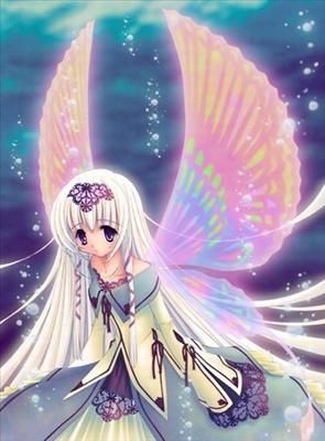 fairy