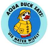 Aqua Duck