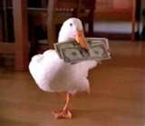 Money duck