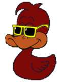 Cool Duck