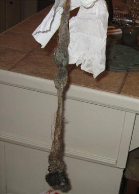 Maggie's Hair Sausage