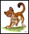 Cougar