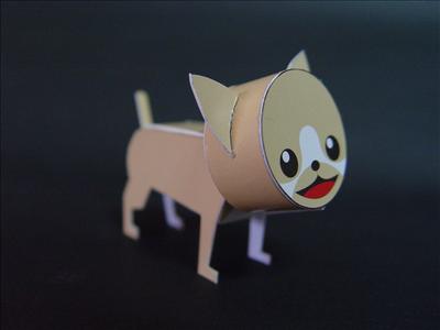 Chihuahua