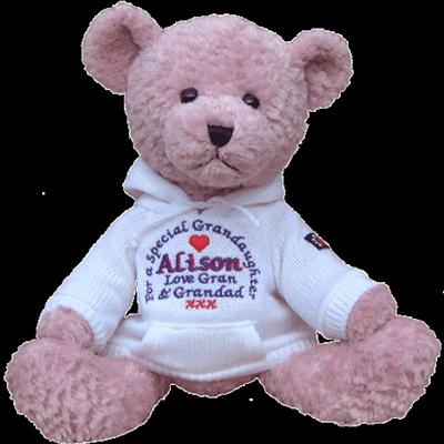 bear ( 10 )