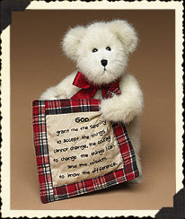 bear ( 22 )