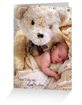 bear - baby - ( 5 )