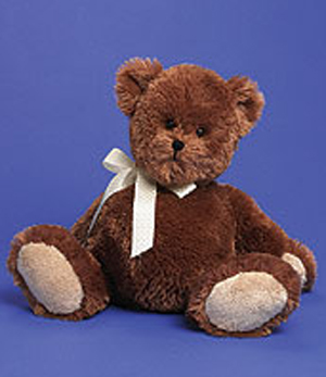 bear ( 16 )