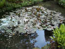 \"To repeat what others have said, requires education; to challenge it, requires brains.\"  ~Mary Pettibone Poole