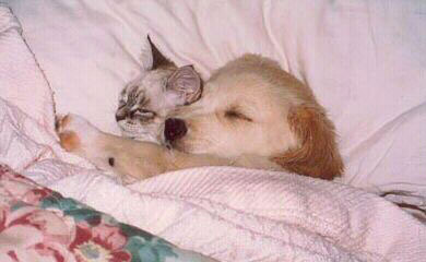 snuggley hugs