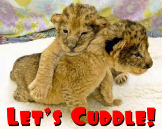 playful hugs