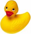 Canard en plastique