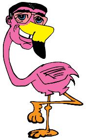 Featherstone Flamingo