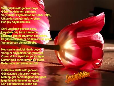 Sevginizi Belirtin