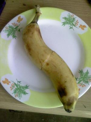 TWISTED BANANA
