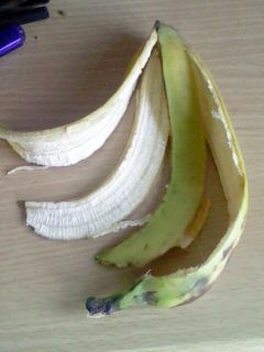NOT A BANANA AT ALL