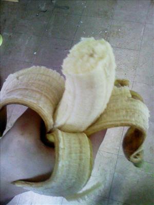 ALF EATEN BANANA