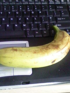 WWW.BANANA.COM