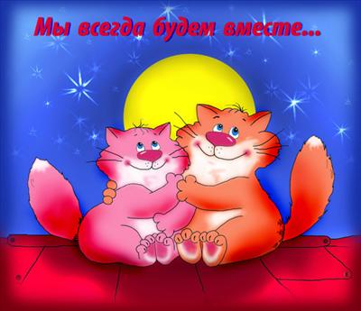 cats 2
