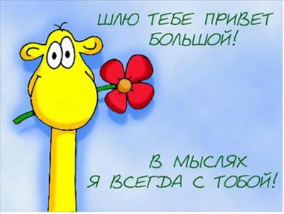 for u 3