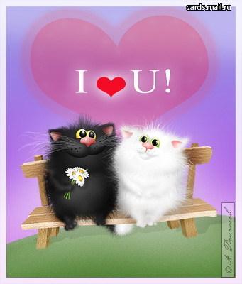 cats