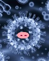 A H1N1