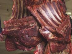 Une côte de boeuf avariée