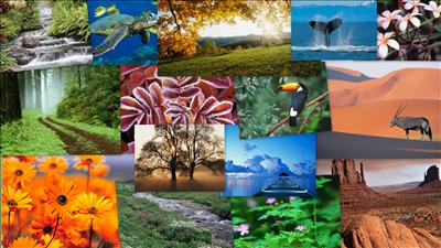 collagez